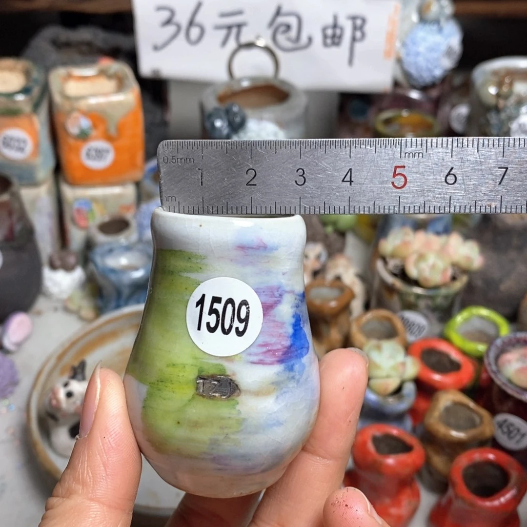 花盆拍5送一个小礼物