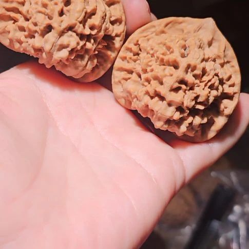 文玩核桃吊坠48龙鼎管帽