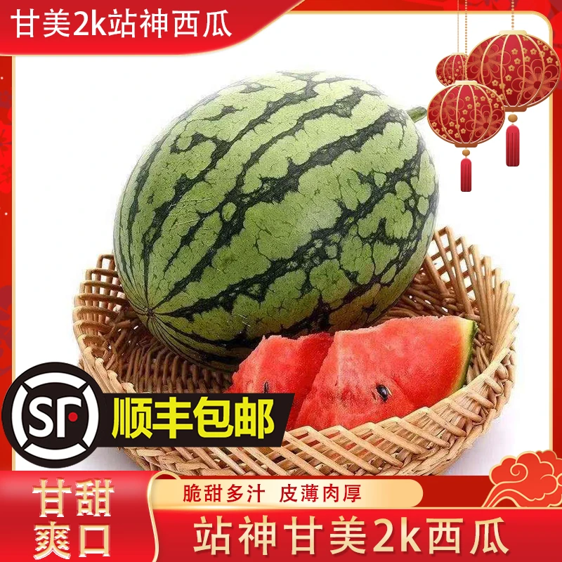 【顺丰包邮】站神甘美2k西瓜（2~4）斤