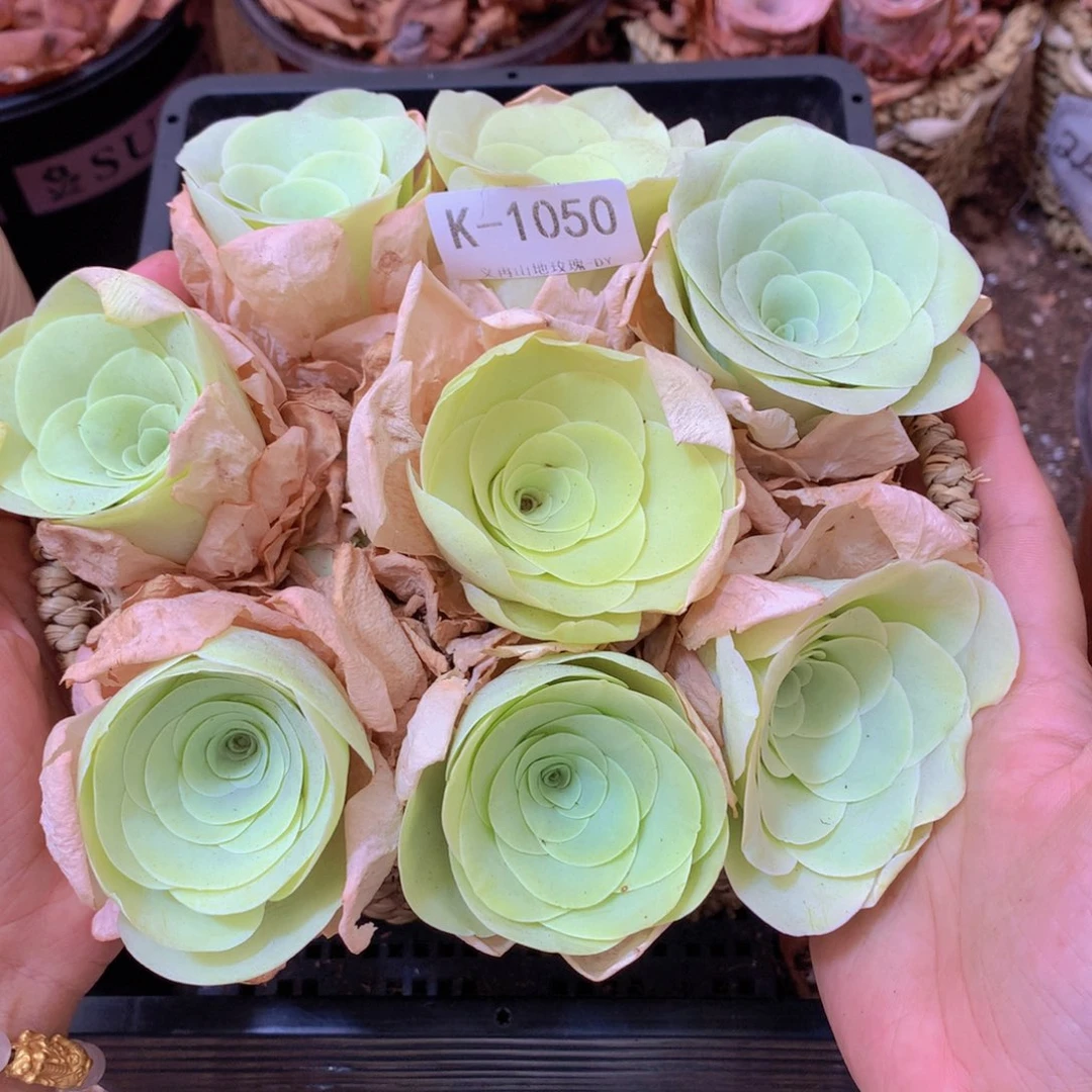 1050黄玫瑰带篮子