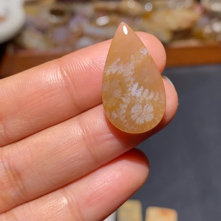 【闪购商品】未镶嵌珊瑚玉硅化玉