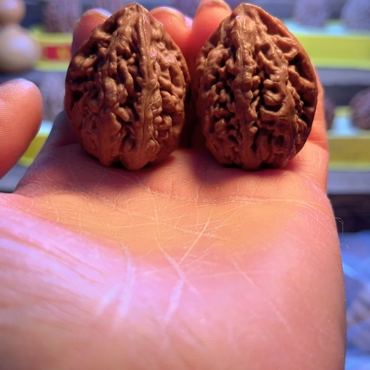 核桃1号车放漏漏漏