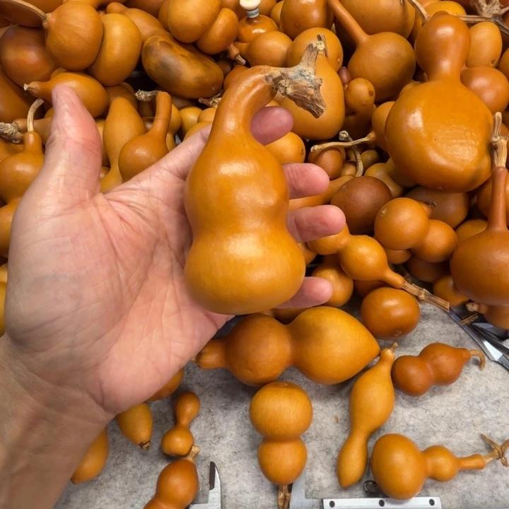 ?****?捡到了一把本掌一把本掌糊了