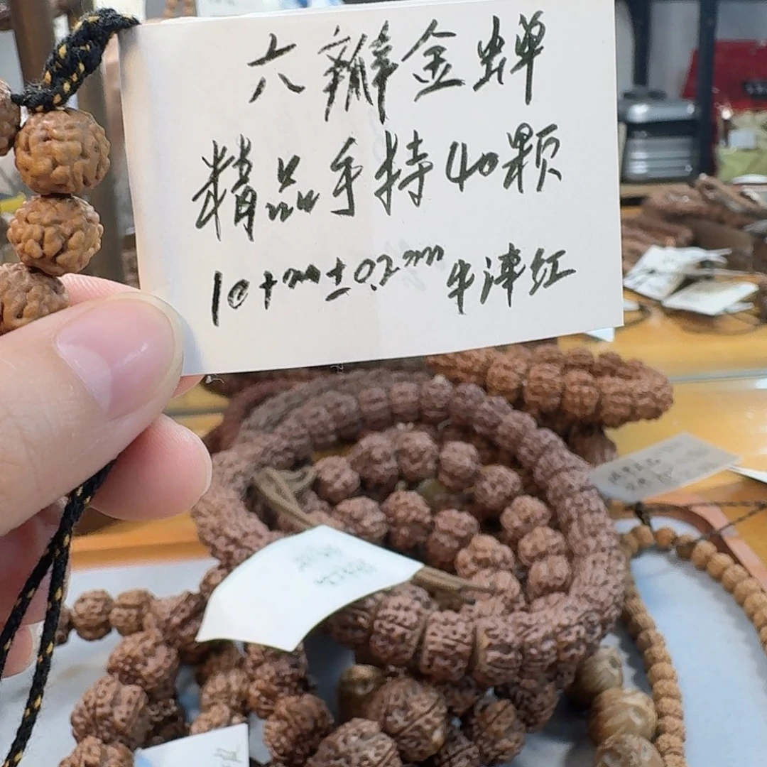 ****金刚菩提手串六瓣金蟾10➕手持