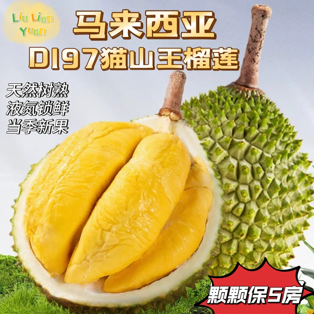 新货猫山王榴莲马来西亚D197液氮冷冻进口当季新果保五房冷冻保存