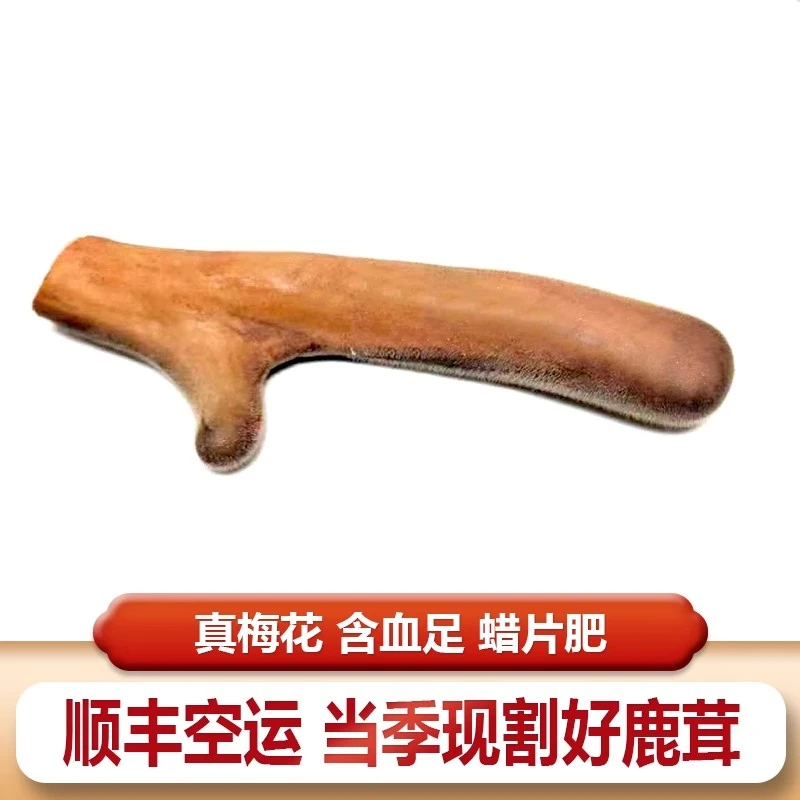 梅花鲜鹿茸二杠 160克 东北长白山整支鲜鹿茸泡酒煲汤