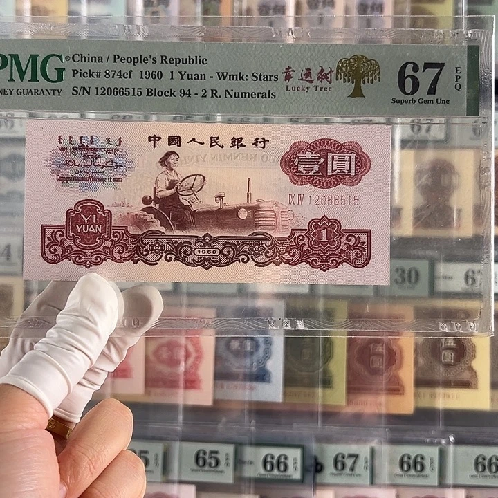幸运树福利福利包邮