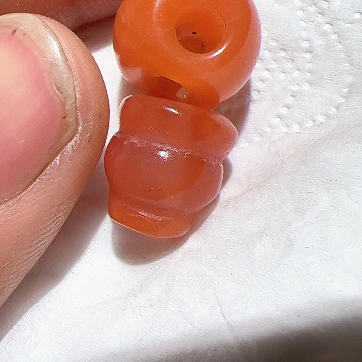 香榧木在家了一天