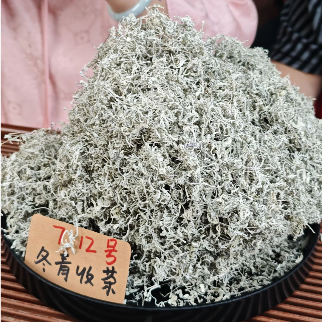 2025张家界龙须莓茶 罗塔坪核心产区  冬青收茶