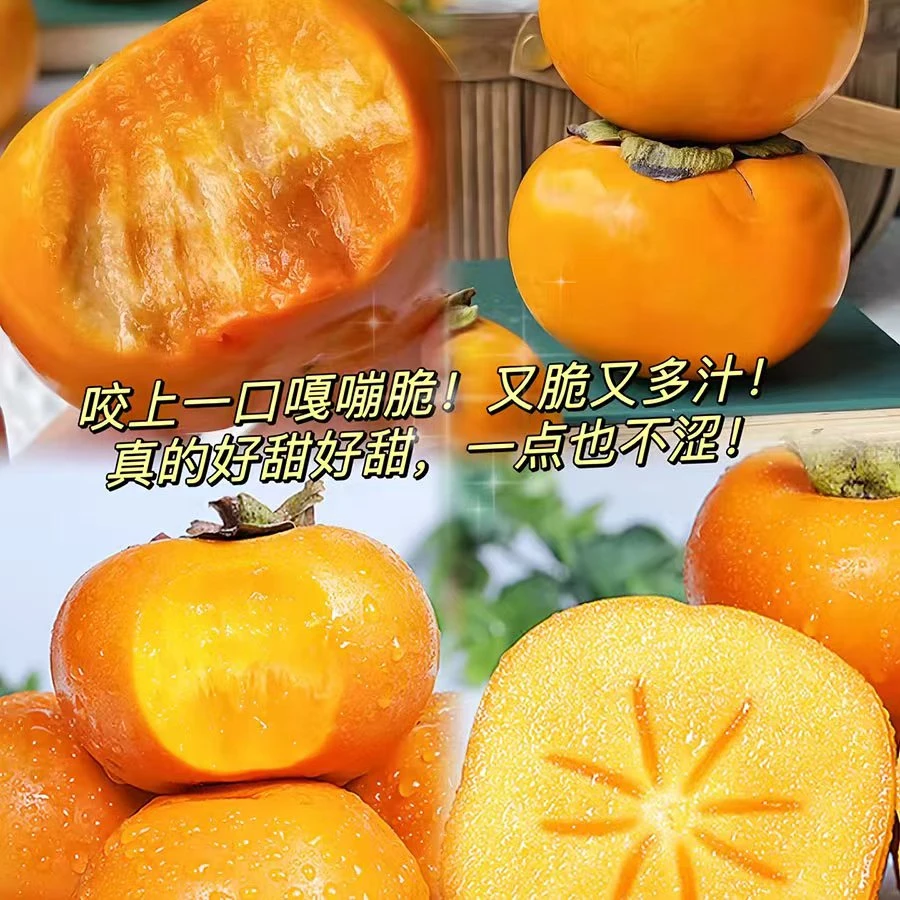 【脆柿子】新鲜当季脆甜冰糖心巧克力柿子无核硬黄柿水果整箱批发