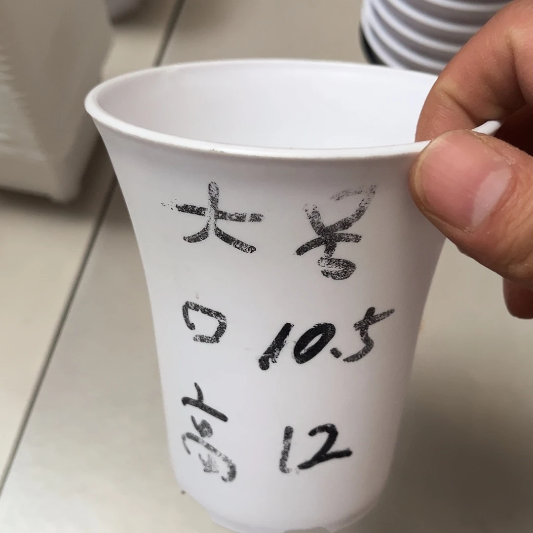 加厚圆万象口10高12白盆15个无托