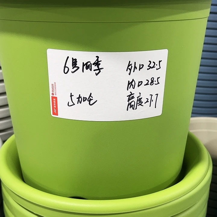 特价6号口32.5高27果绿7只无托
