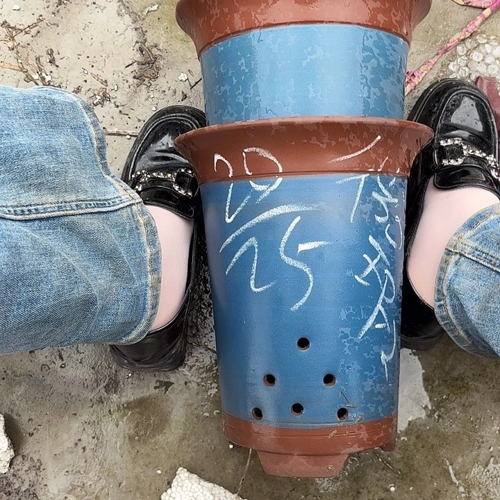 紫砂花瓶紫砂的味道