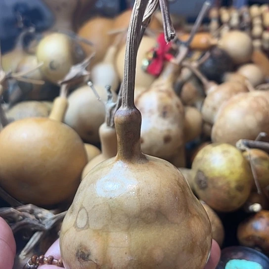 独*葫芦葫芦葫芦葫芦