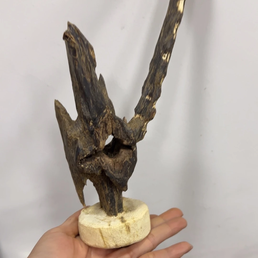 沉香木摆件棋楠沉香老料摆件154.5克