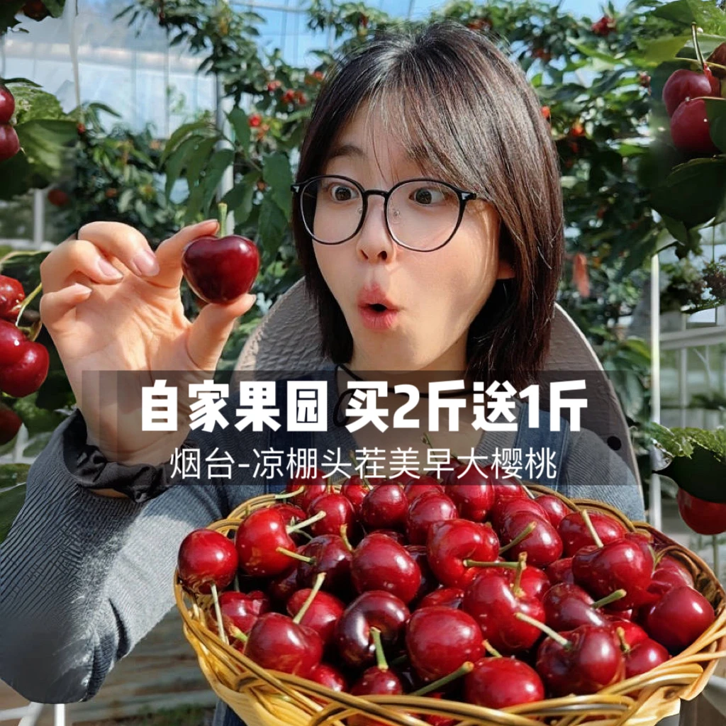 【朱朱大樱桃】山东烟台美早买2斤送1斤顺丰空运冷链MZJ