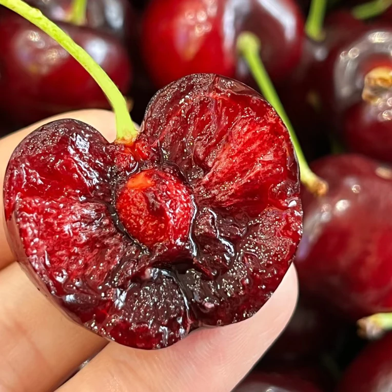 智利海运进口车厘子4JD kg智利