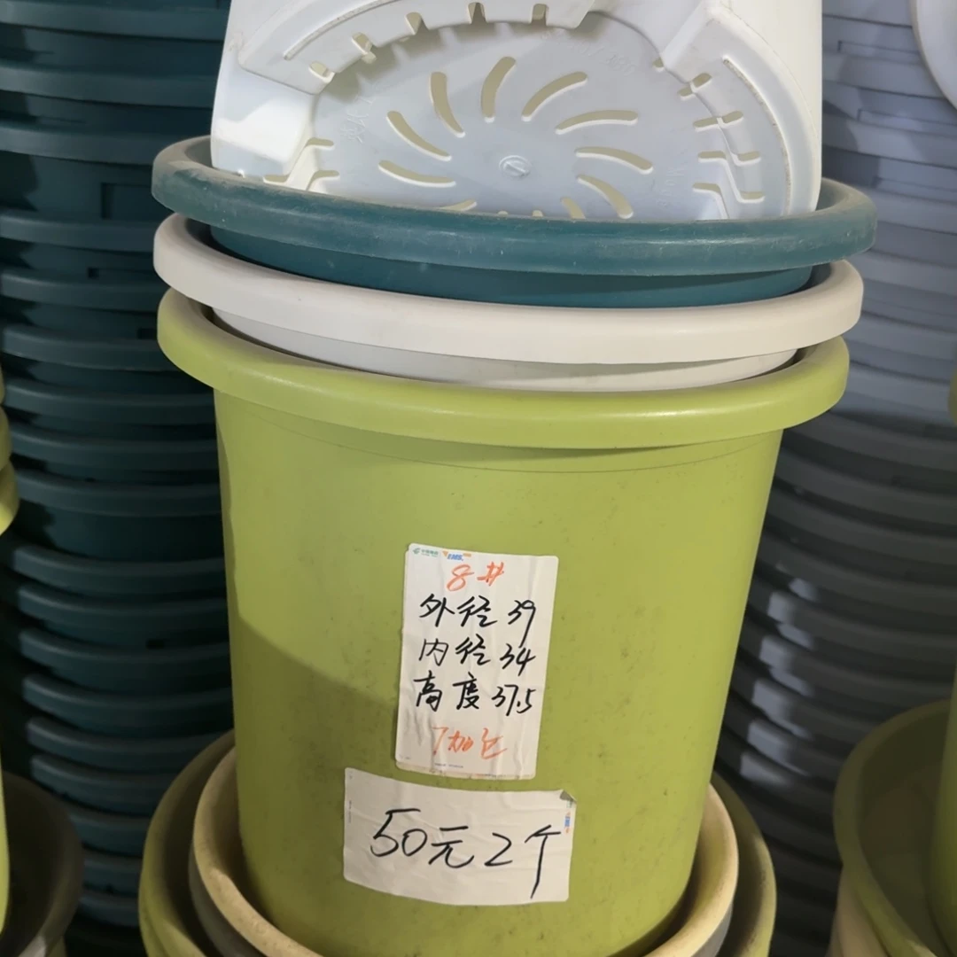 四季8#口径39带拖果绿3套