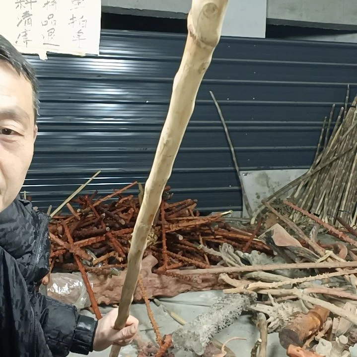 稳定木正**明贵州檬子木   铁马鞭   根艺  半成品