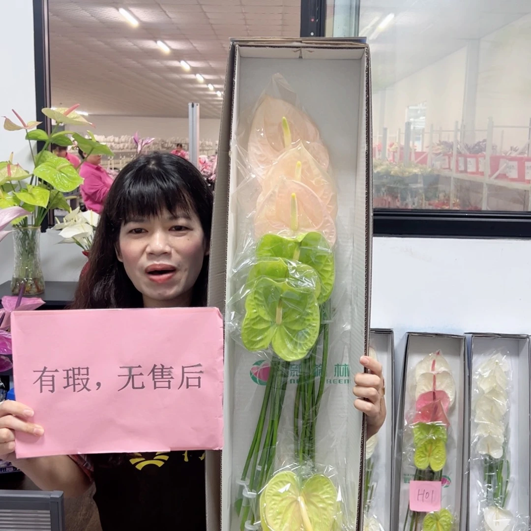 完全开放混色-12枝装无售后款009