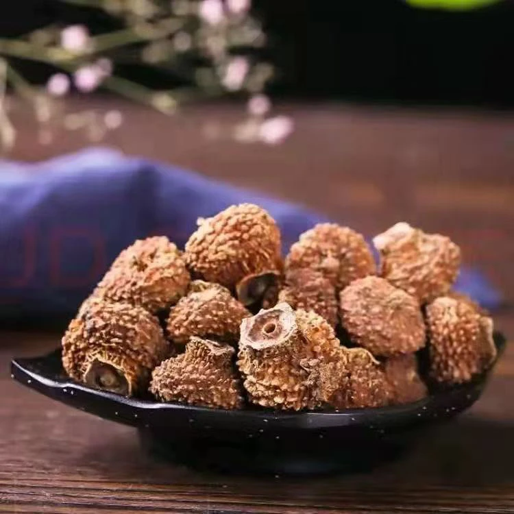 刺/梨菇现收山货