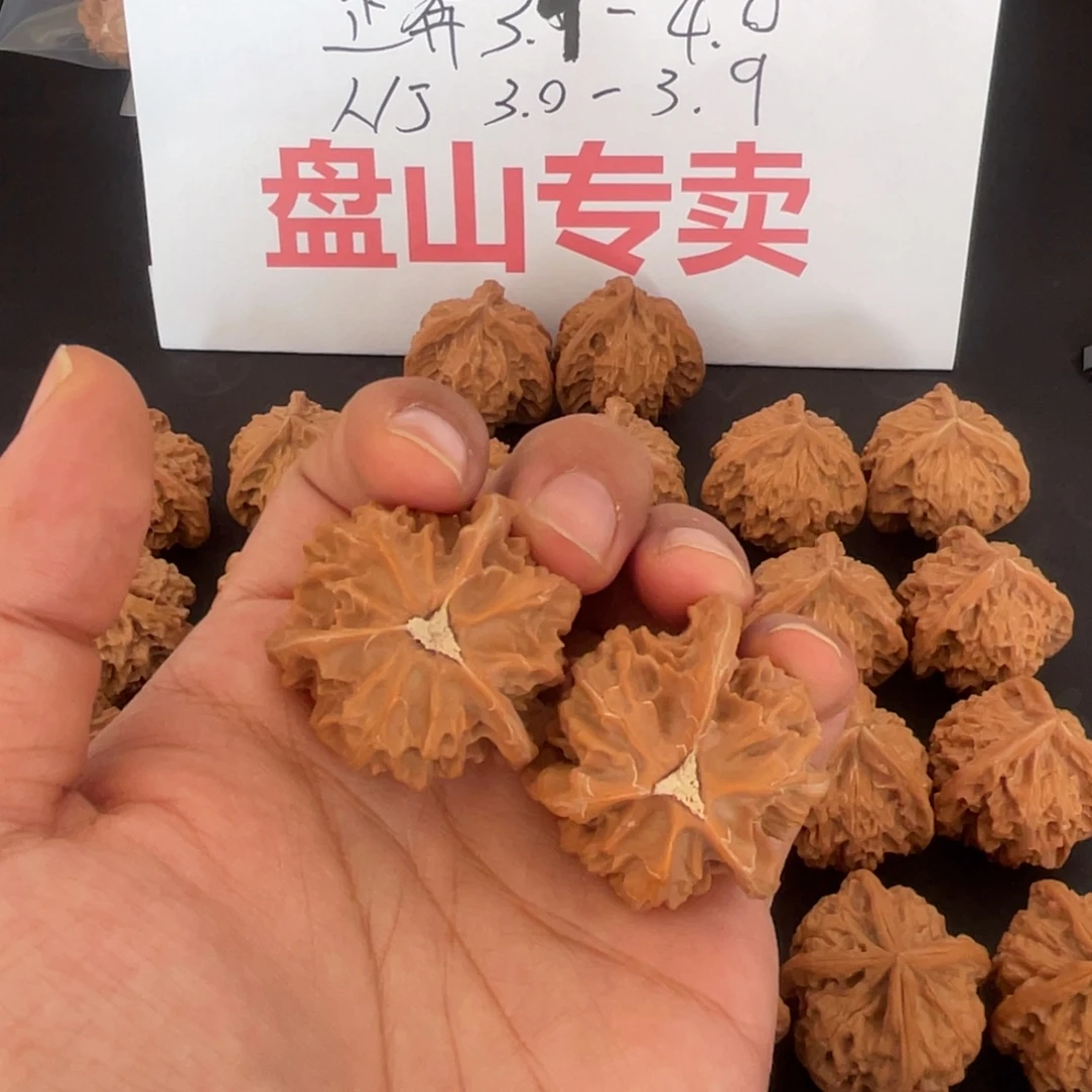我***段核桃把件A163盘山三棱正奔4.0尺寸3.5高全品白茬