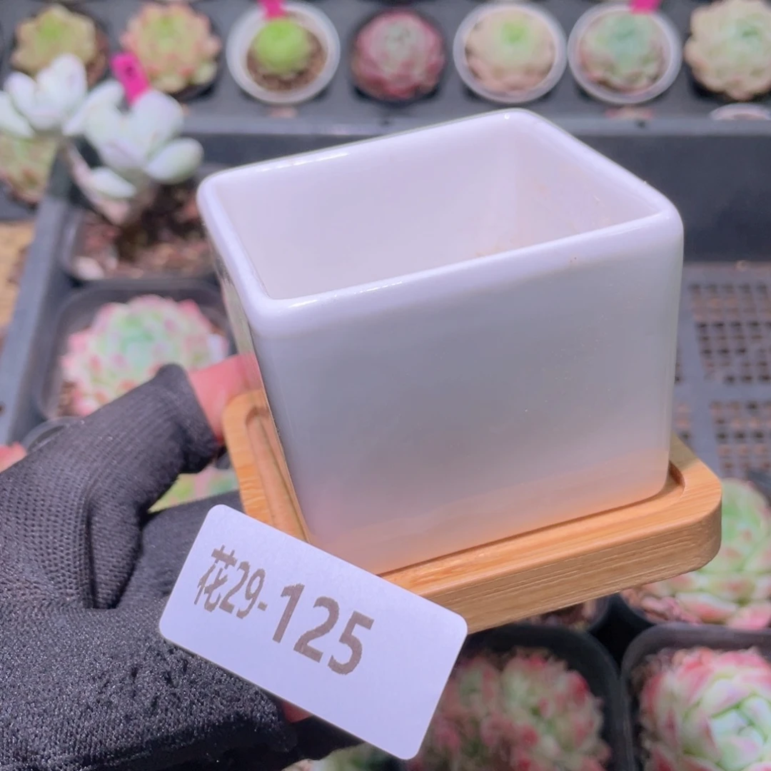 花利美29-125花盆