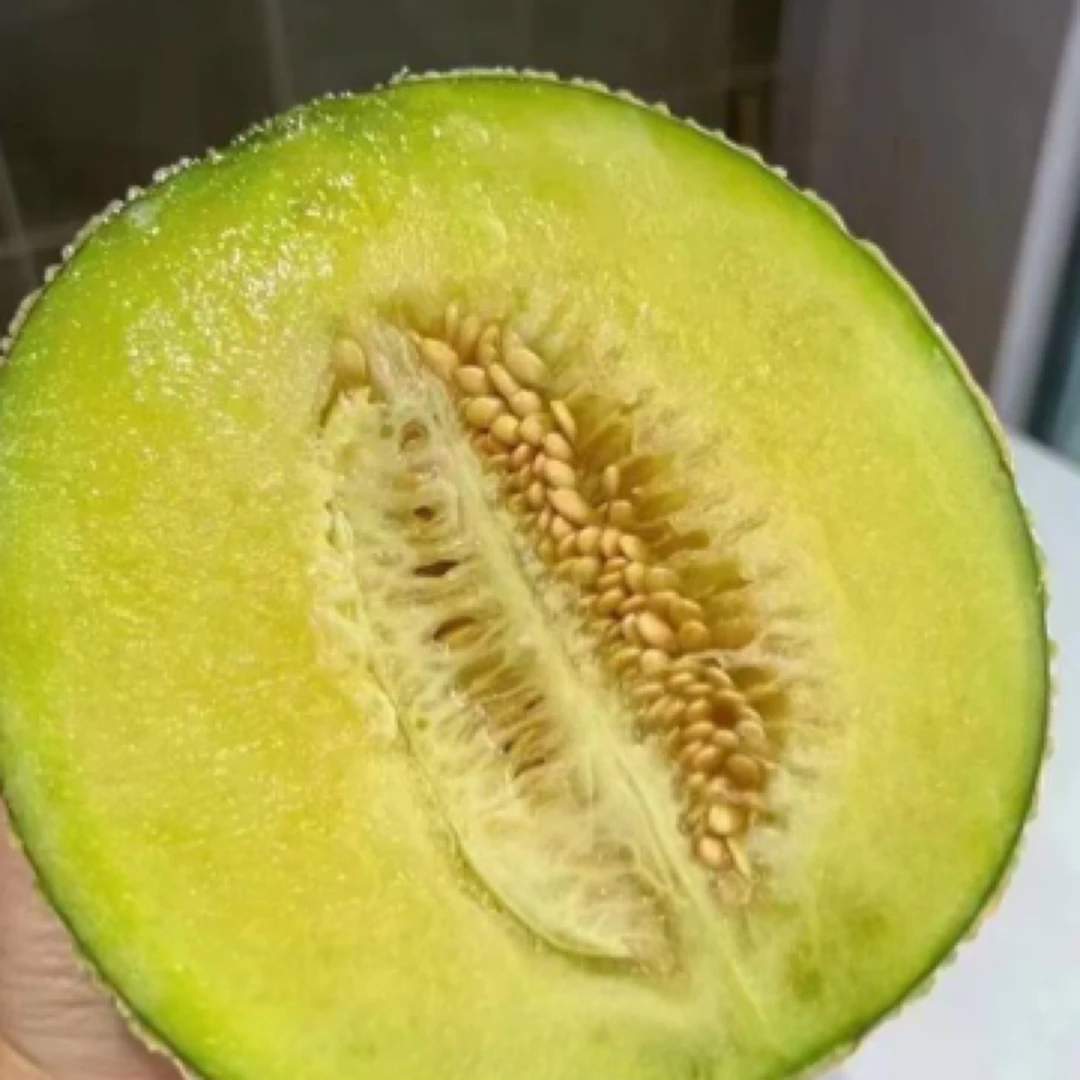 网纹瓜 2 粒装 4 斤左右
