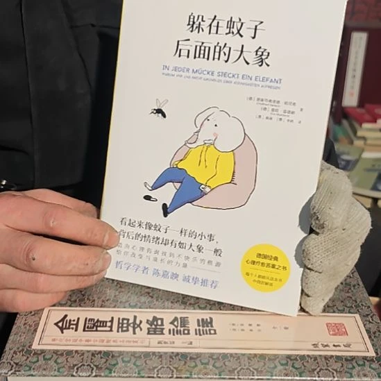 躲在蚊子后面的大象平装库存书