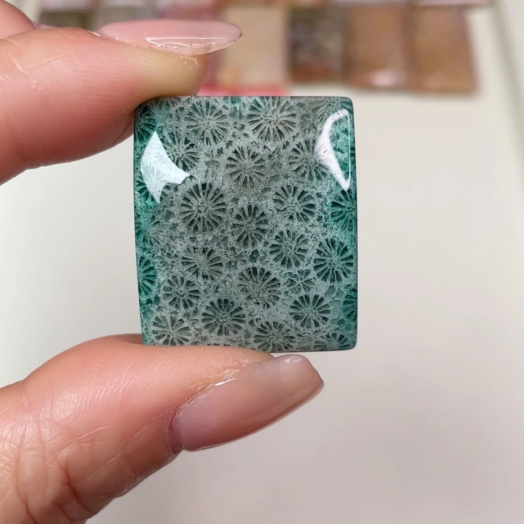 【闪购商品】未镶嵌吊坠(赠链)硅化玉1⃣️
