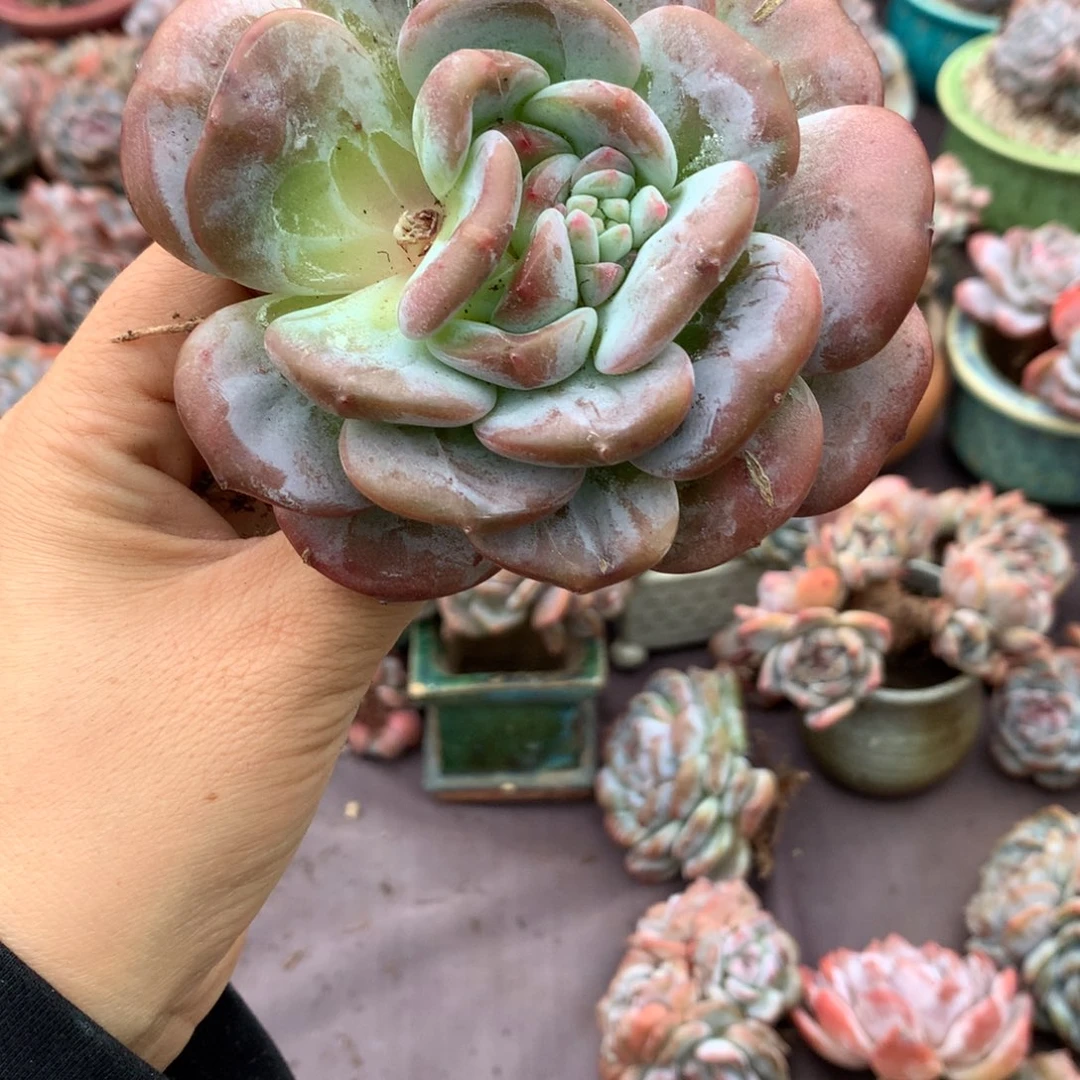 哈哈哈哈哈哈哈哈哈哈哈