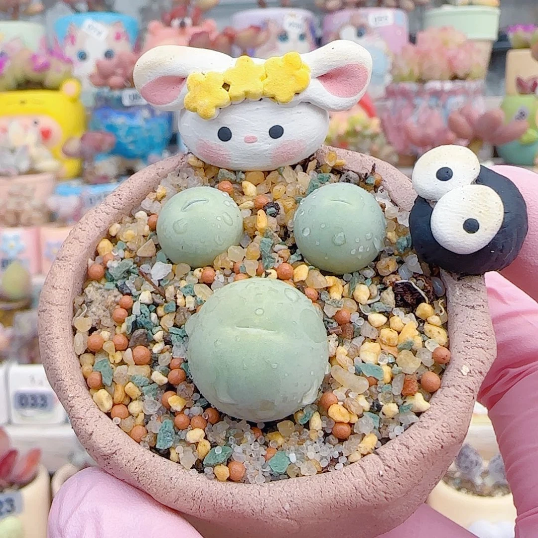 L 米奇头鸽子蛋组合