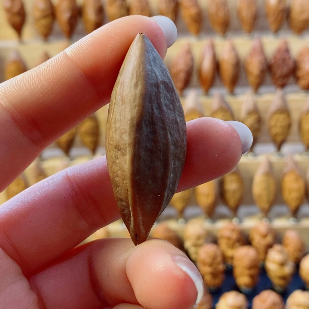 聂***师橄榄核手串/手链原皮