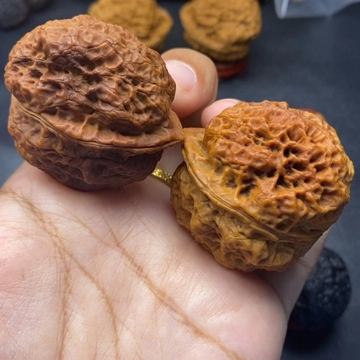 把件文玩核桃42尺龙脊妖蟾