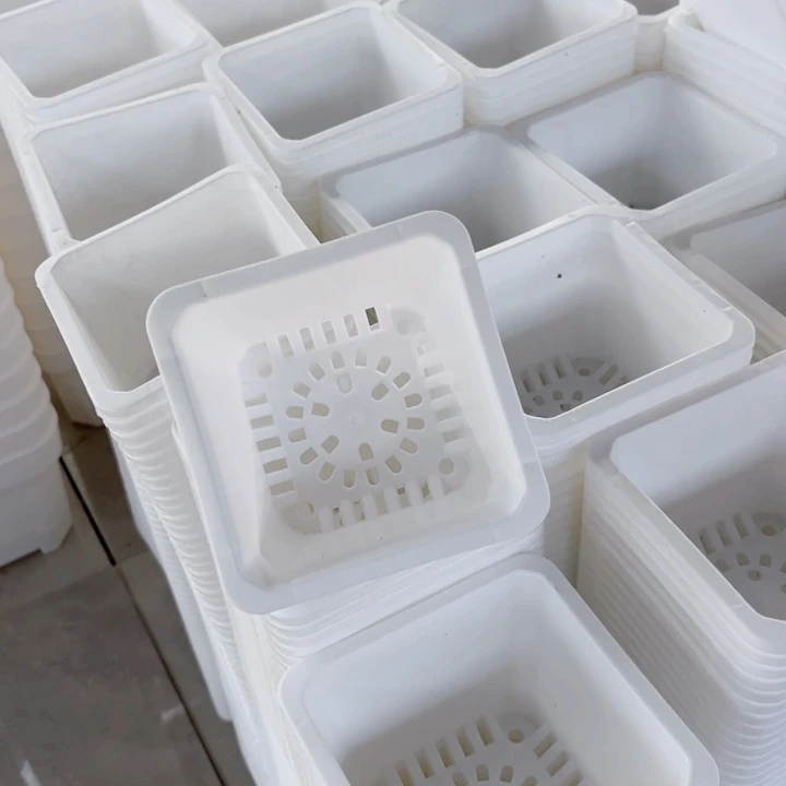 白方口9高7一组15