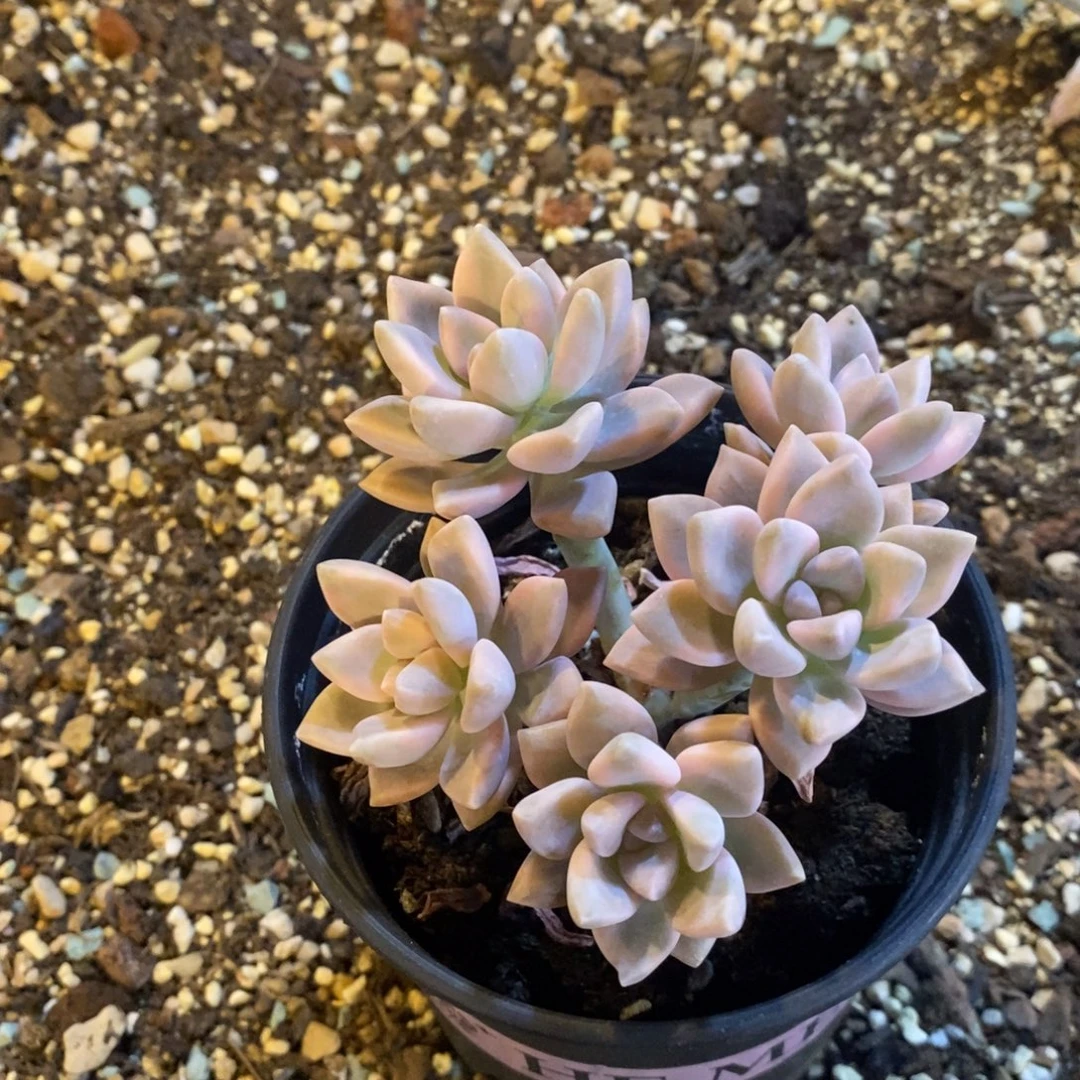 暮***音自然资源丰富等特点为一体综合