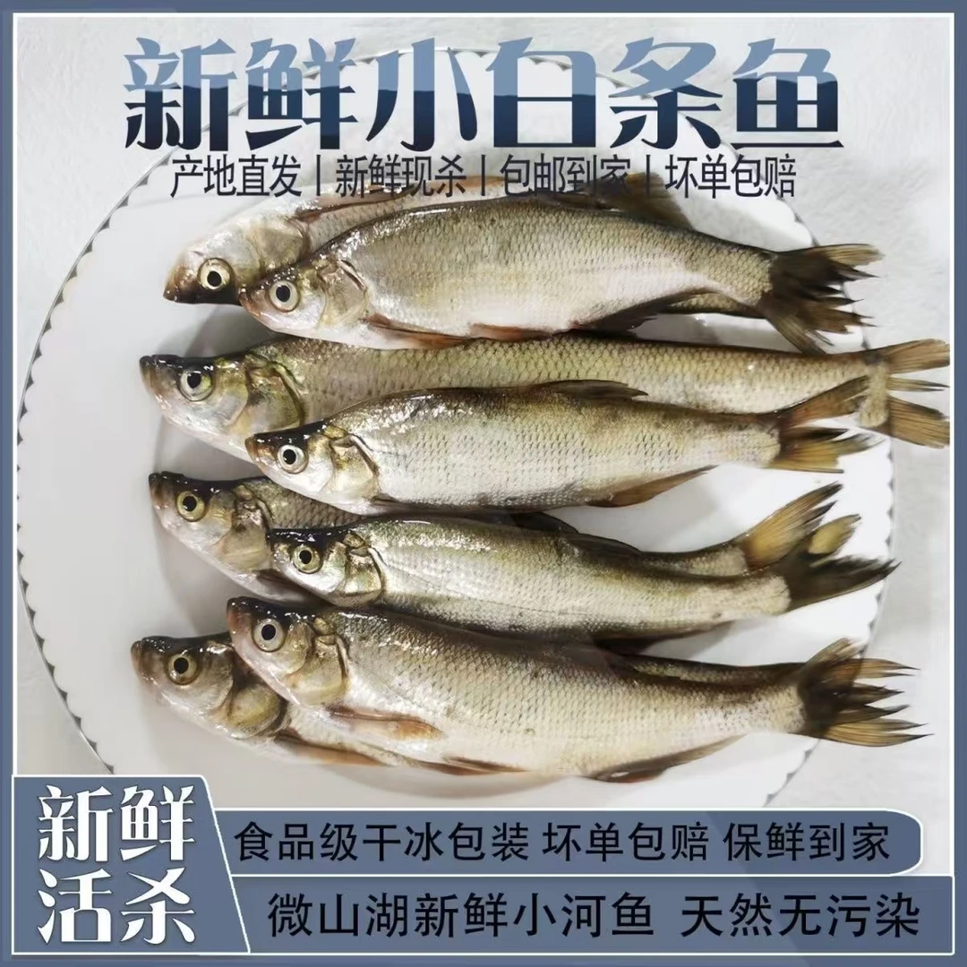 微湖生态纯野新鲜小白条翘嘴活鱼现杀包邮去肠真空
