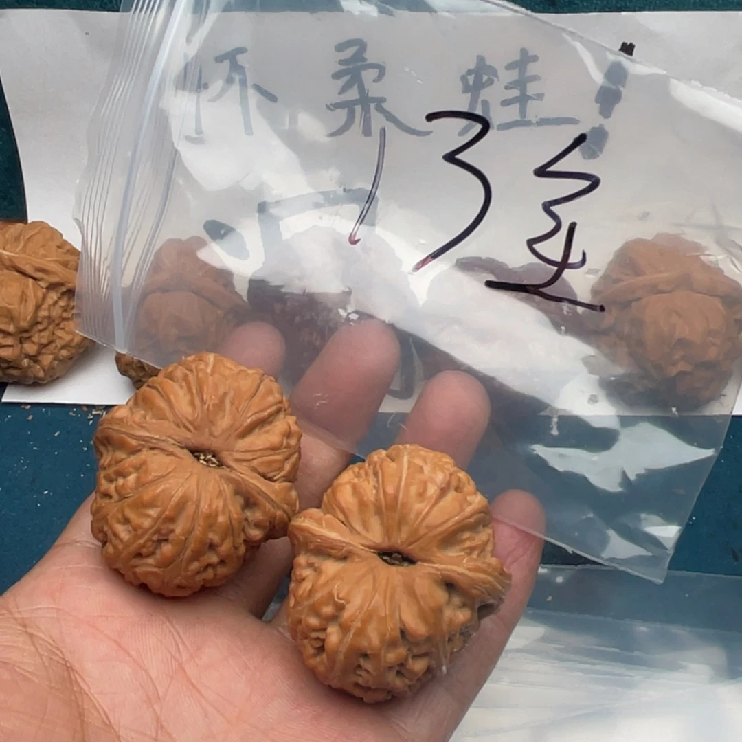 核桃3244423354547753