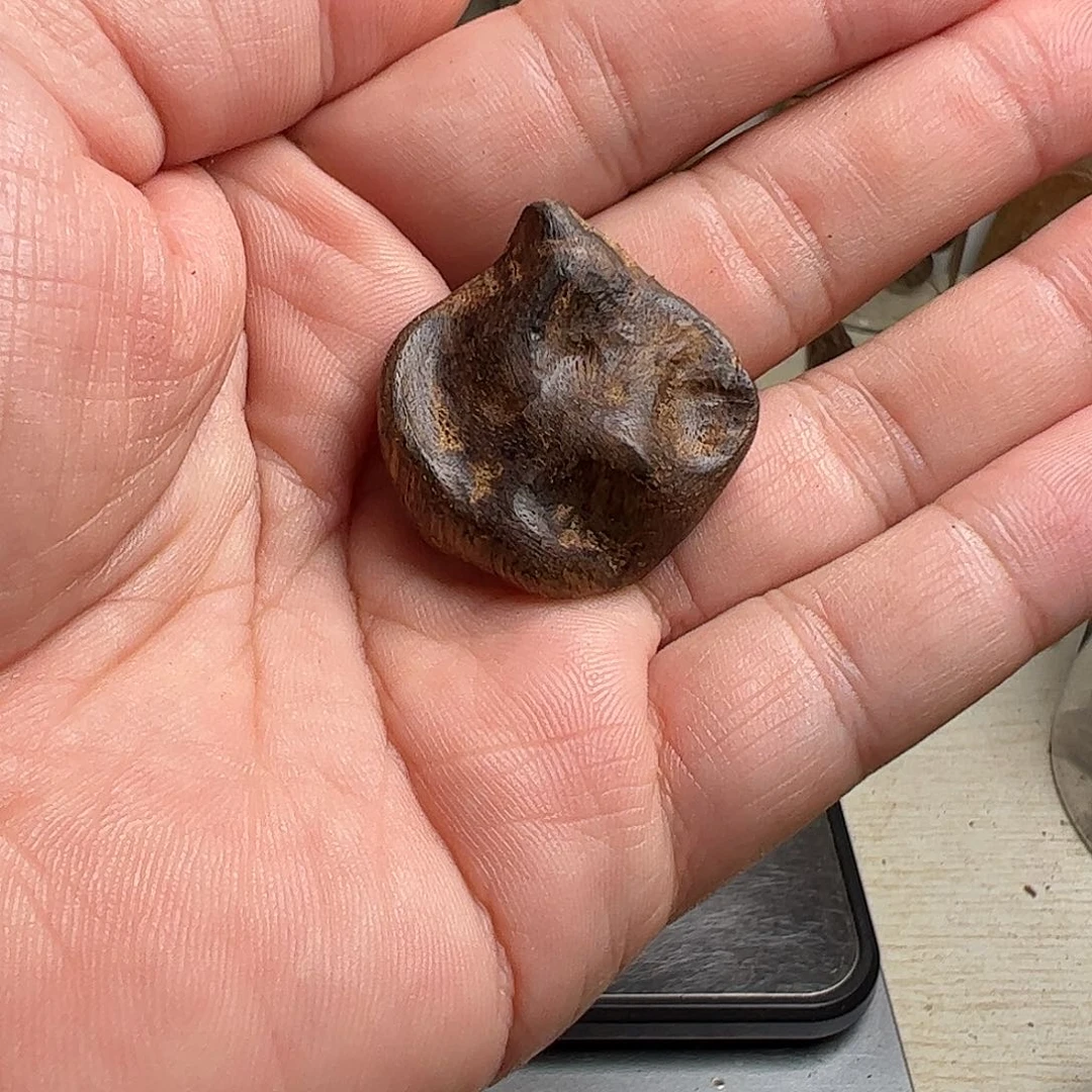 沉香碎屑沉香加里曼丹沉香3.1克