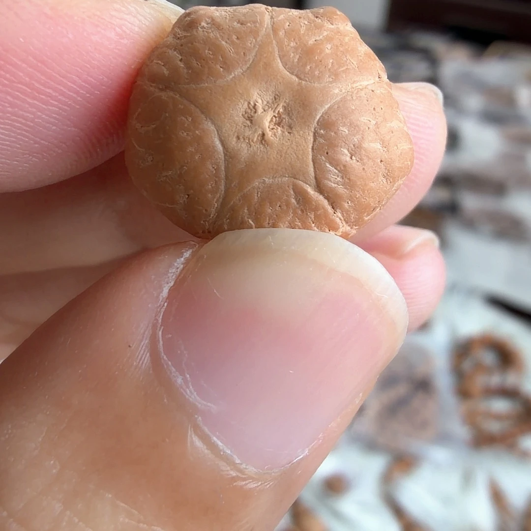 刀***锋凤眼菩提吊坠4770幸运星