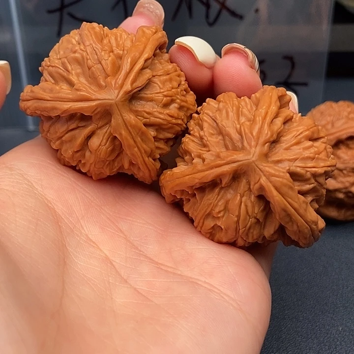 方***先大叶紫檀（黑酸枝木类）白狮子