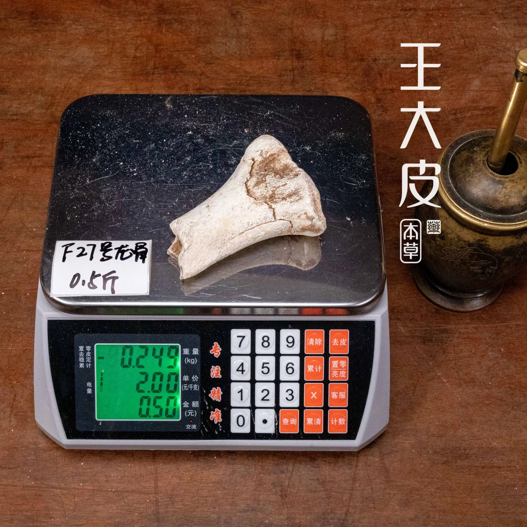 龙骨 王大皮甄选生龙骨 龙齿 牡蛎