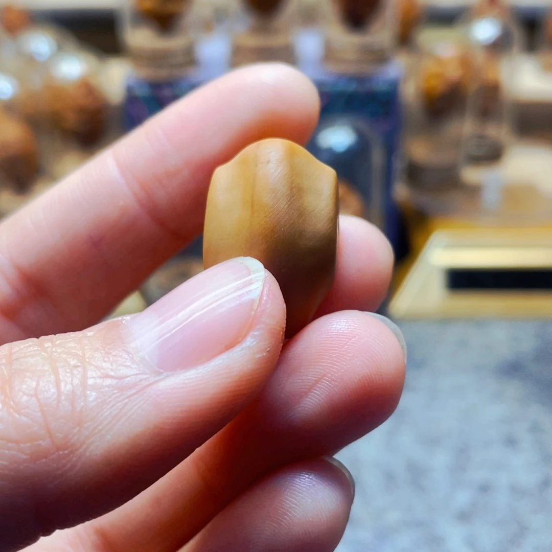 橄榄核手串/手链橄榄