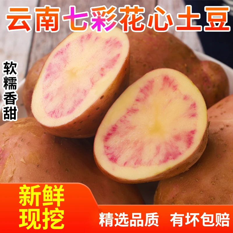云南高山七彩土豆 花心土豆洋芋新土豆 农家自种当季新鲜蔬菜
