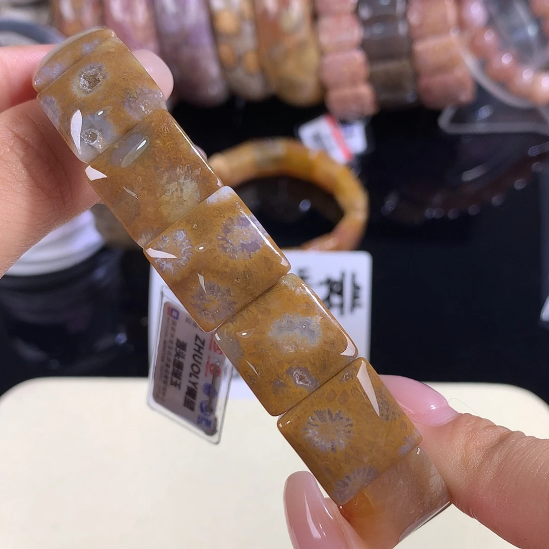 硅化珊瑚（珊瑚玉）未镶嵌吊坠(赠链)21号共生200漏128