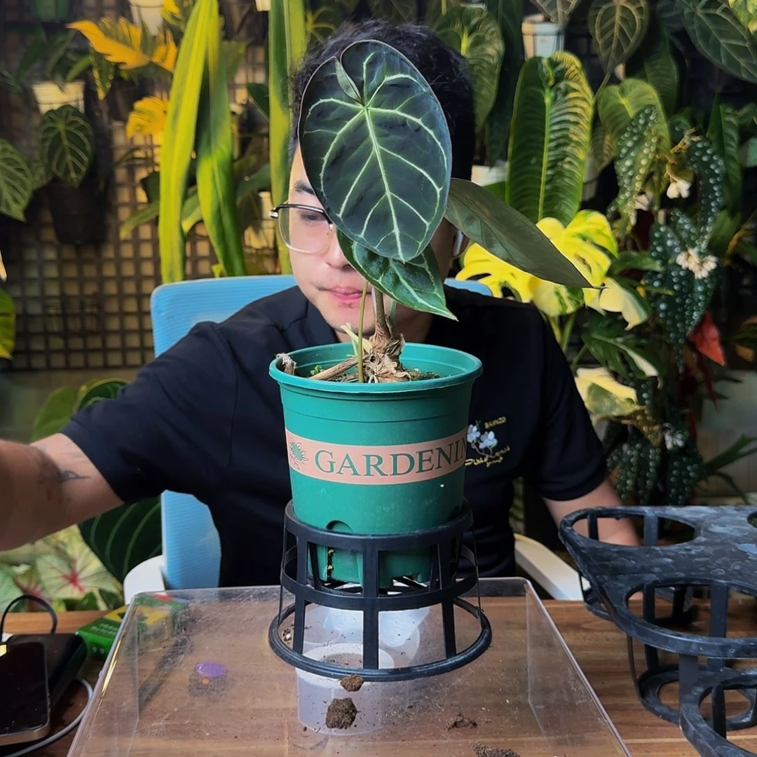 吃***。完全开放一物一拍S180