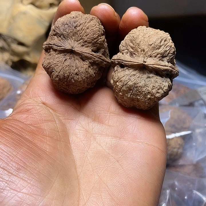 把件文玩核桃云南铁核桃基地60