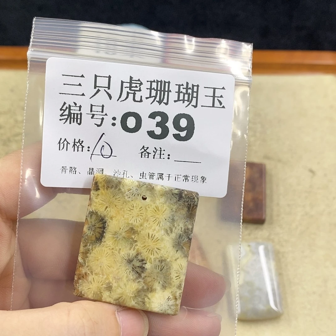 硅化珊瑚（珊瑚玉）1未镶嵌晒****钙