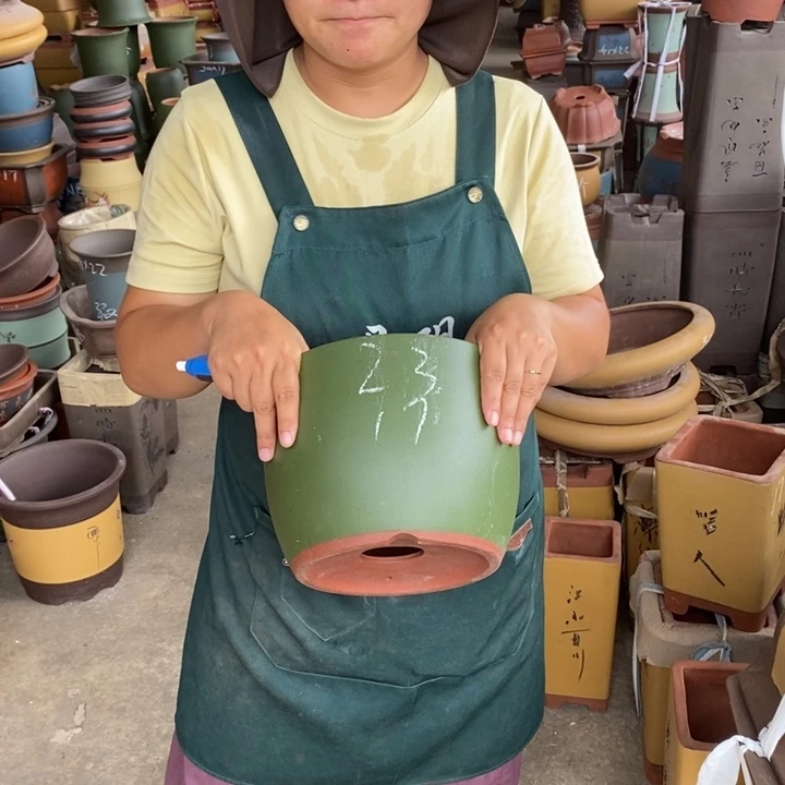 紫砂花盆盆栽花卉苗木