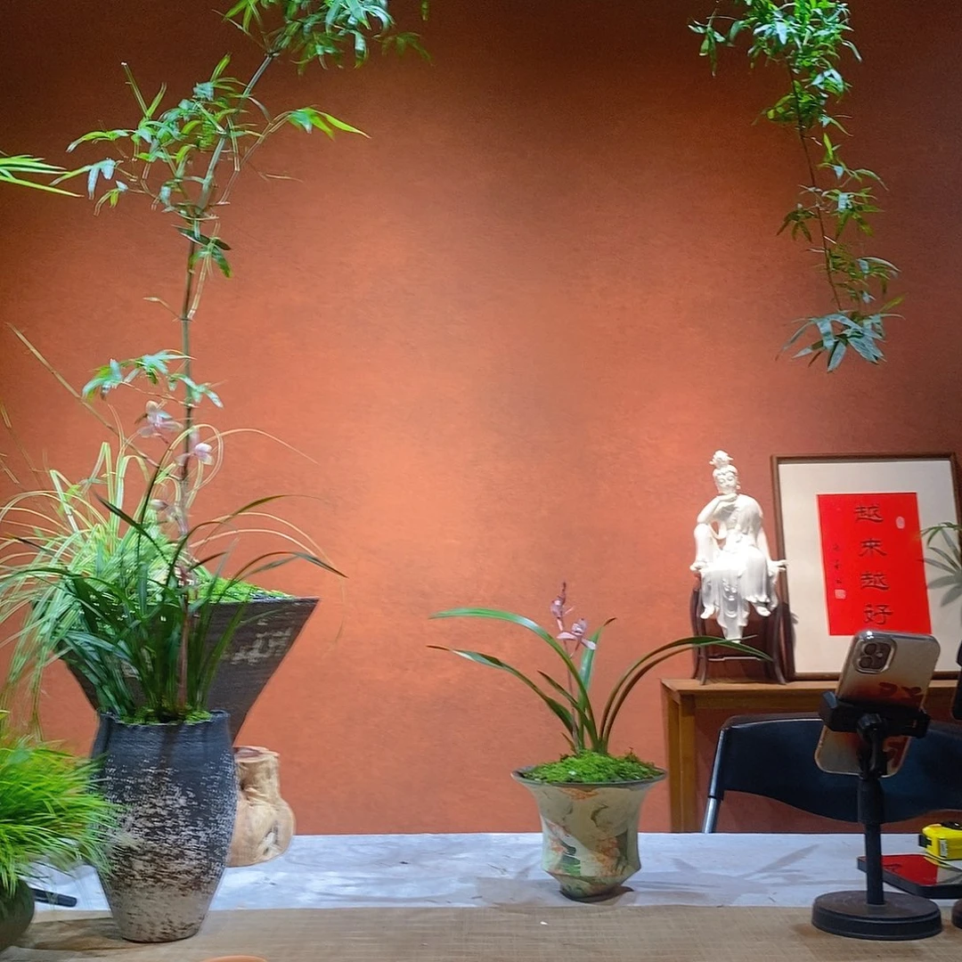 用***1无花朵老桩精品竹盆景作品